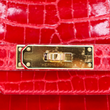 Hermès 30cm Birkin Braise Shiny Niloticus Gold Hardware