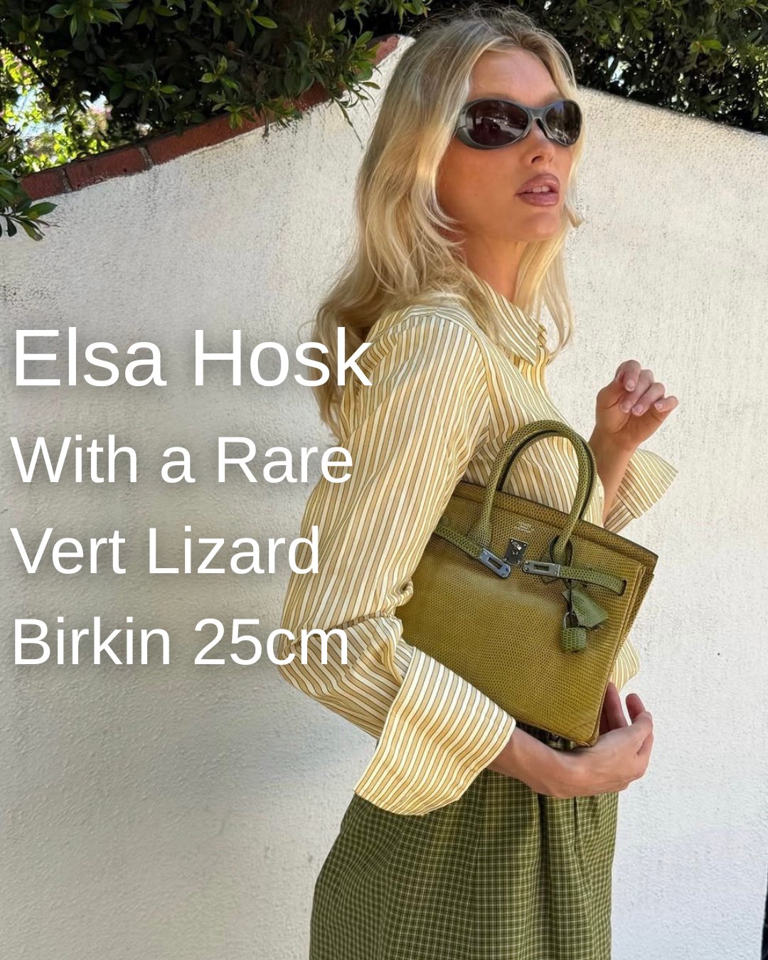Privé Porter’s Guide To: Elsa Hosk Steps Out With a 25cm Vert Lizard Birkin