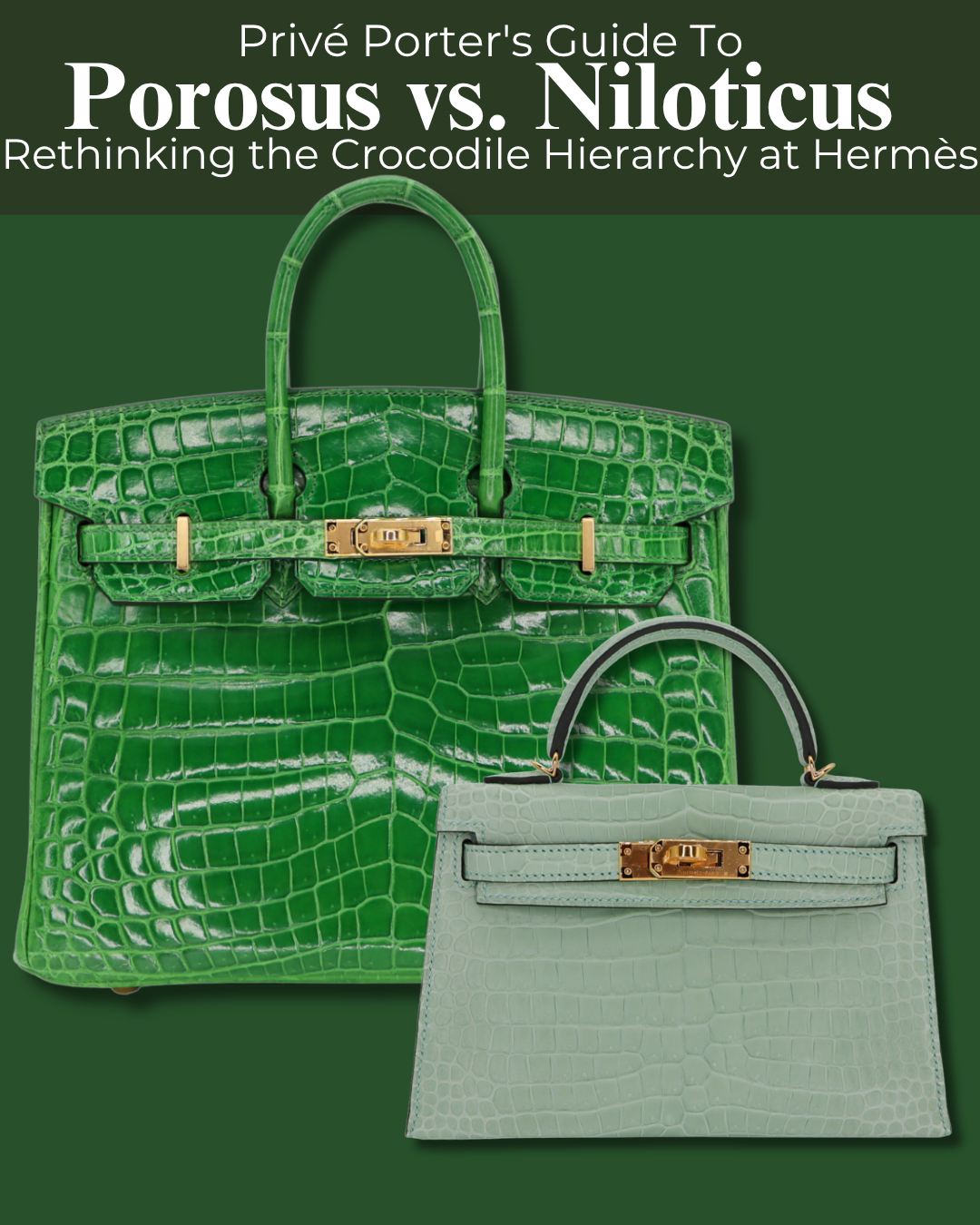 Privé Porter’s Guide To: Porosus vs. Niloticus — Rethinking the Crocodile Hierarchy at Hermès