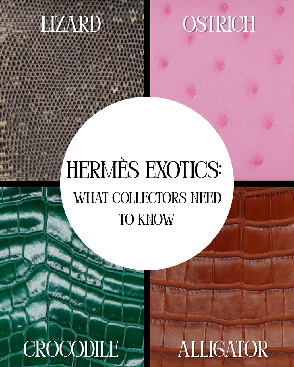 Hermès Exotics: Crocodile, Alligator, Lizard & Ostrich — What