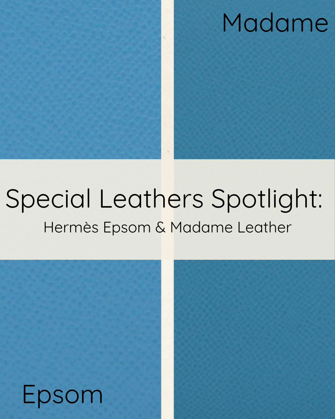 Special Leathers Spotlight: Hermès Epsom & Madame Leather – Privé Porter