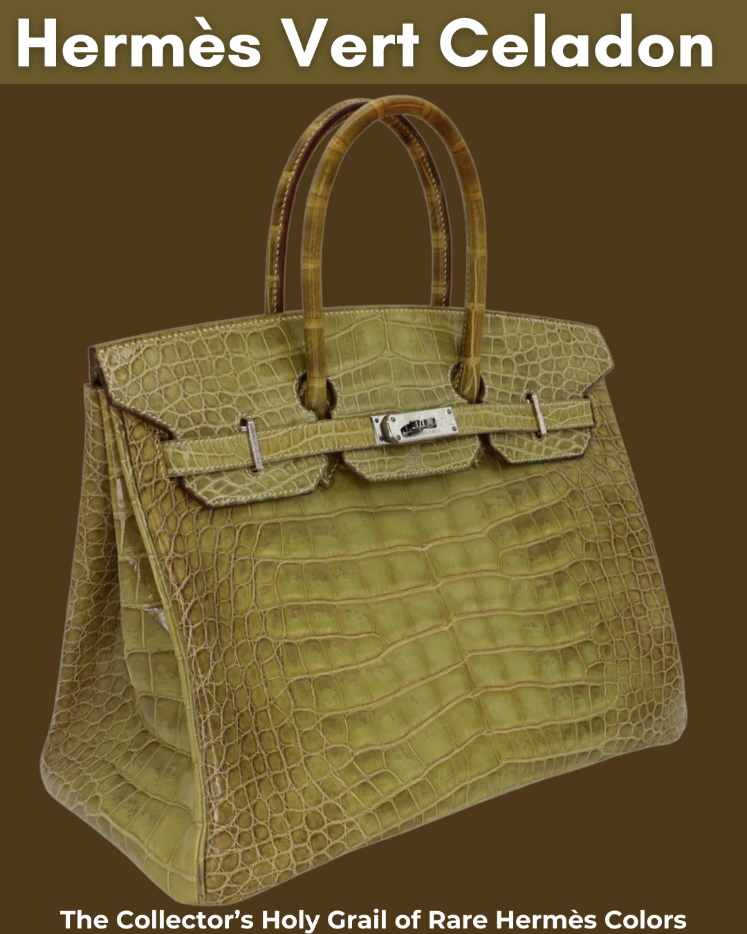 Privé Porter’s Guide To: Hermès Vert Celadon Shiny Niloticus — The Collector’s Holy Grail of Rare Hermès Colors