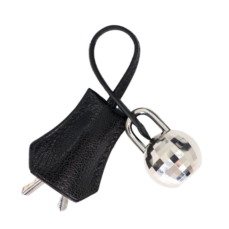 Hermès 20cm Birkin Sellier Disco Chèvre Leather Palladium Hardware