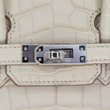 Hermès 25cm Birkin Beton Matte Alligator Palladium Hardware