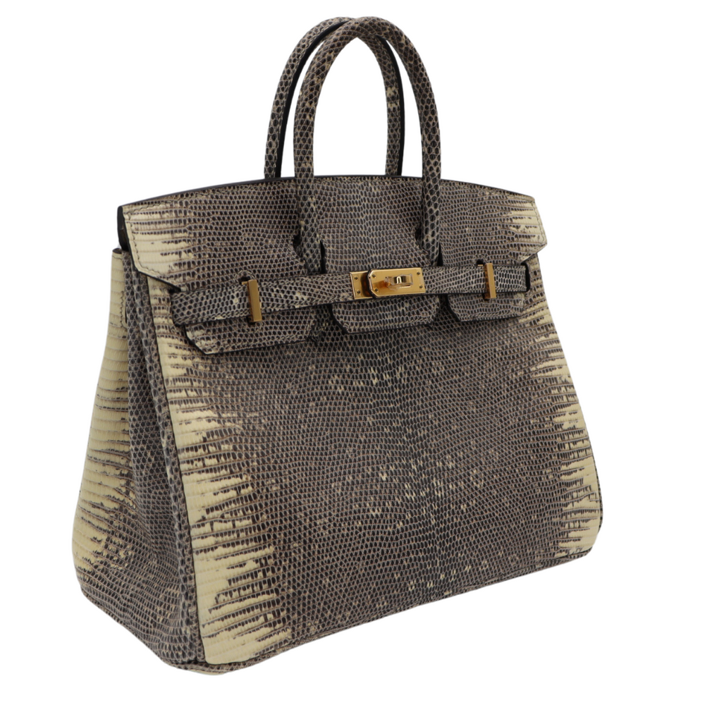 HERMES 超レア コリエドシアン リザード Ombre x ゴールド金具 HERMES 超レア コリエドシアン リザード Ombre x ゴールド金具