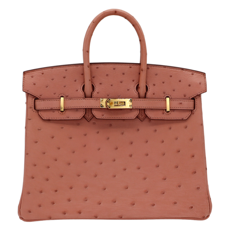 Hermès 25cm Birkin Terre Cuite Ostrich Gold Hardware