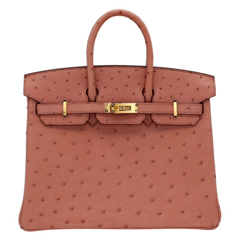 Hermès 25cm Birkin Terre Cuite Ostrich Gold Hardware – Privé Porter