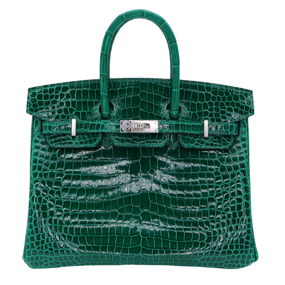 HERMES エルメス　スキッパーポロ　ボーダー　Vネック　イタリア製 Hermès 25cm Birkin Vert Emeraude Shiny Porosus Crocodile Palladium
