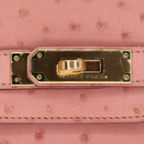 Hermès 30cm Birkin Terre Cuite Ostrich Gold Hardware