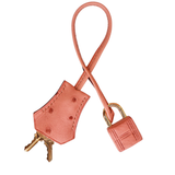 Hermès 30cm Birkin Terre Cuite Ostrich Gold Hardware