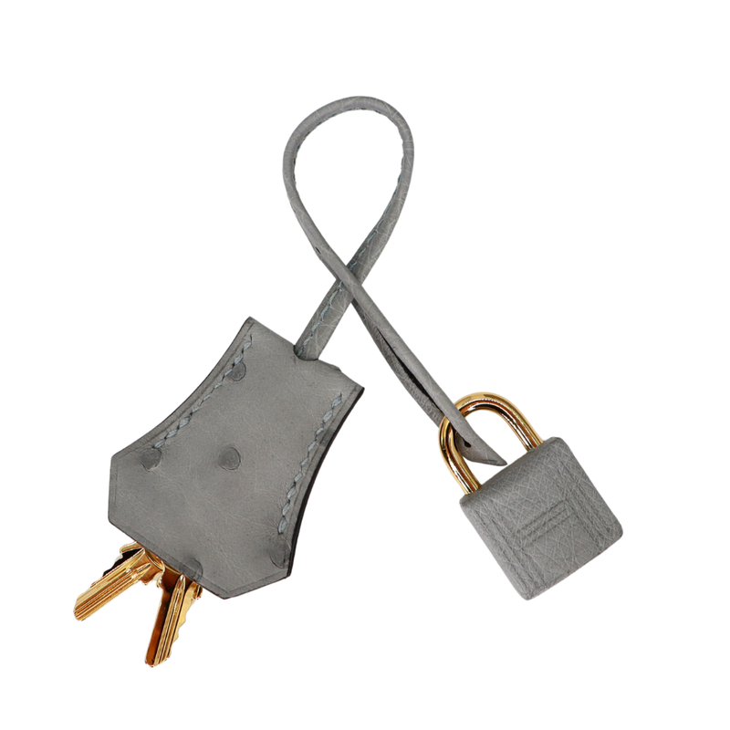 Hermès 25cm Kelly Sellier Bleu Glacier Ostrich Leather Gold Hardware