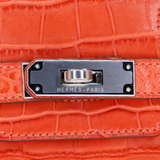 Hermès 30cm Birkin Terre Battue Matte Alligator Palladium Hardware