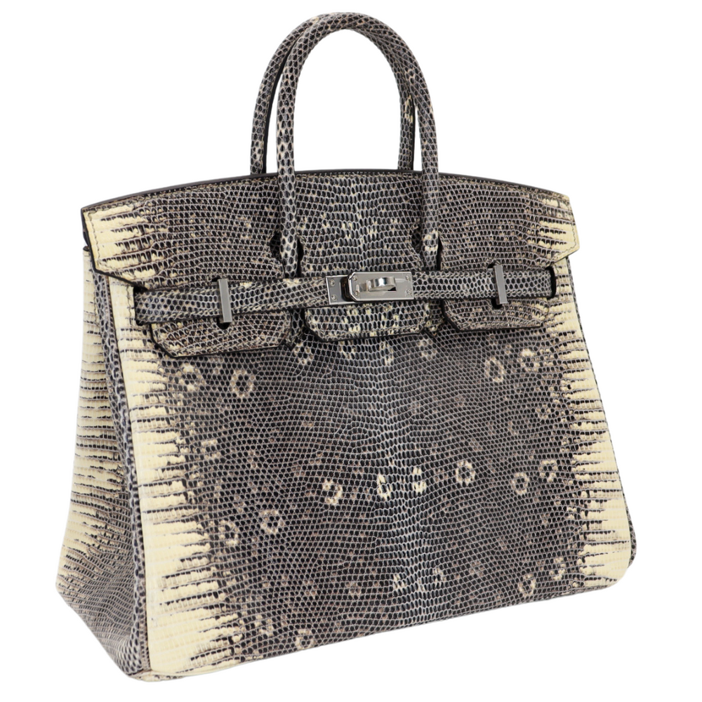 Hermès 25cm Birkin Ombre Lizard Palladium Hardware – Privé Porter