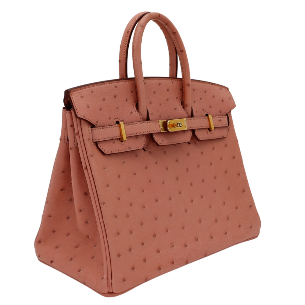 Hermès 25cm Birkin Terre Cuite Ostrich Gold Hardware – Privé Porter
