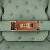 Hermès 25cm Birkin Vert Criquet Ostrich Gold Hardware