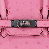 Hermès 25cm Birkin Bubblegum Ostrich Palladium Hardware
