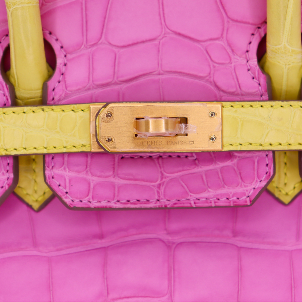 5_db6eed87-afa5-4408-bf40-