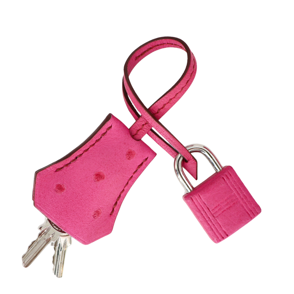 Hermès 25cm Birkin Fuchsia Ostrich Palladium Hardware – Privé Porter