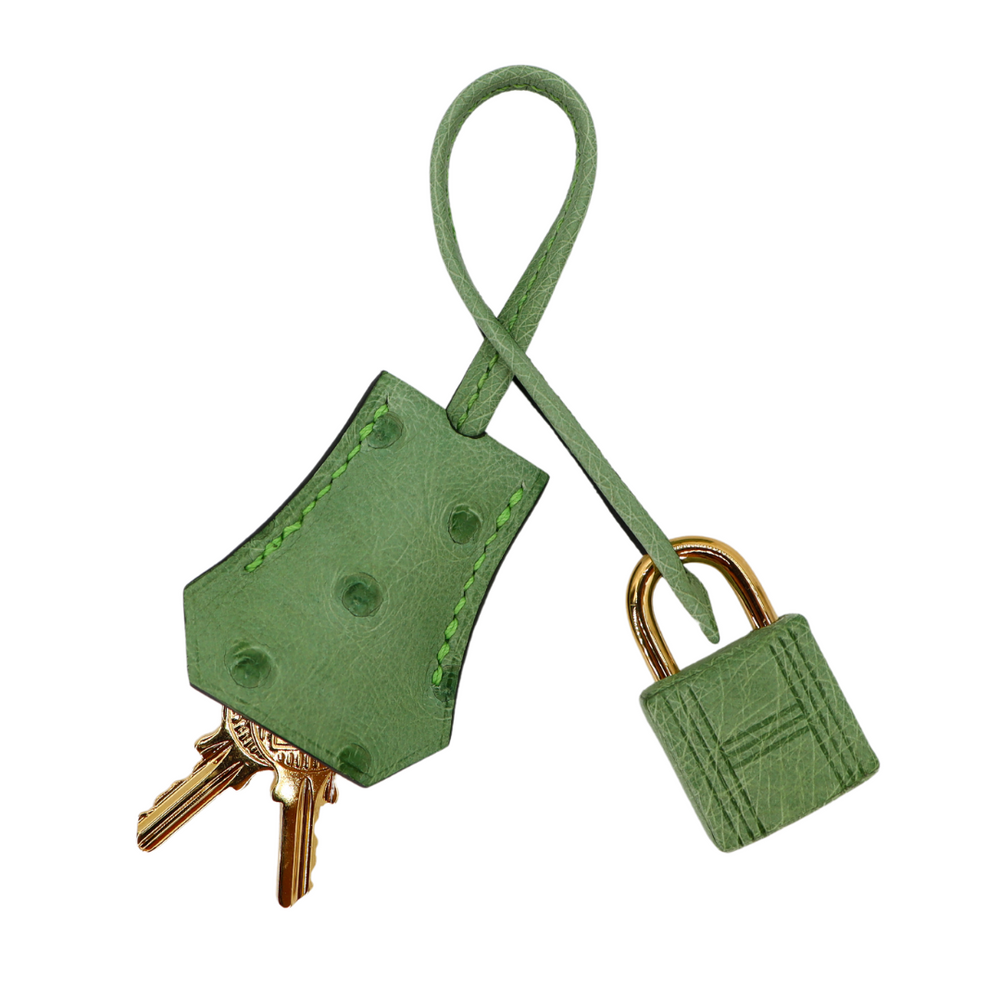 Hermès 25cm Birkin Vert Criquet Ostrich Gold Hardware – Privé Porter