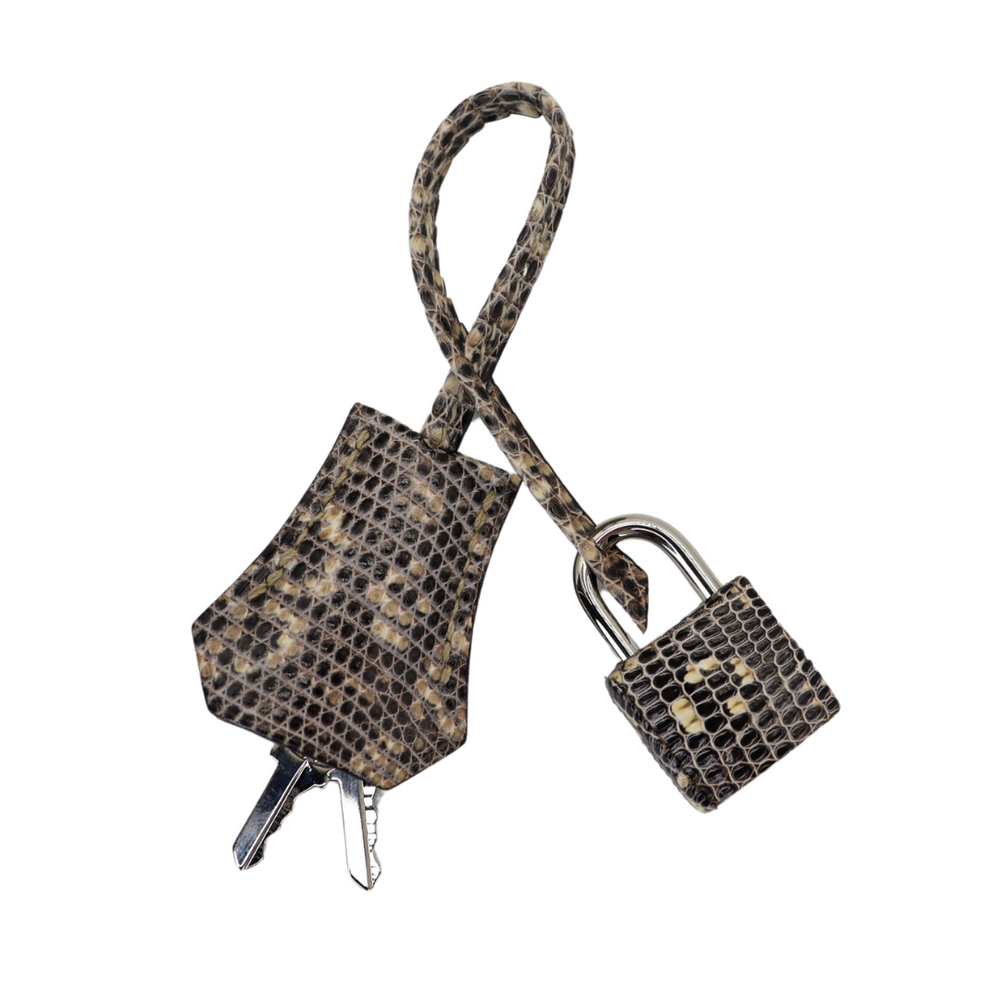 Hermès 25cm Birkin Ombre Lizard Palladium Hardware – Privé Porter