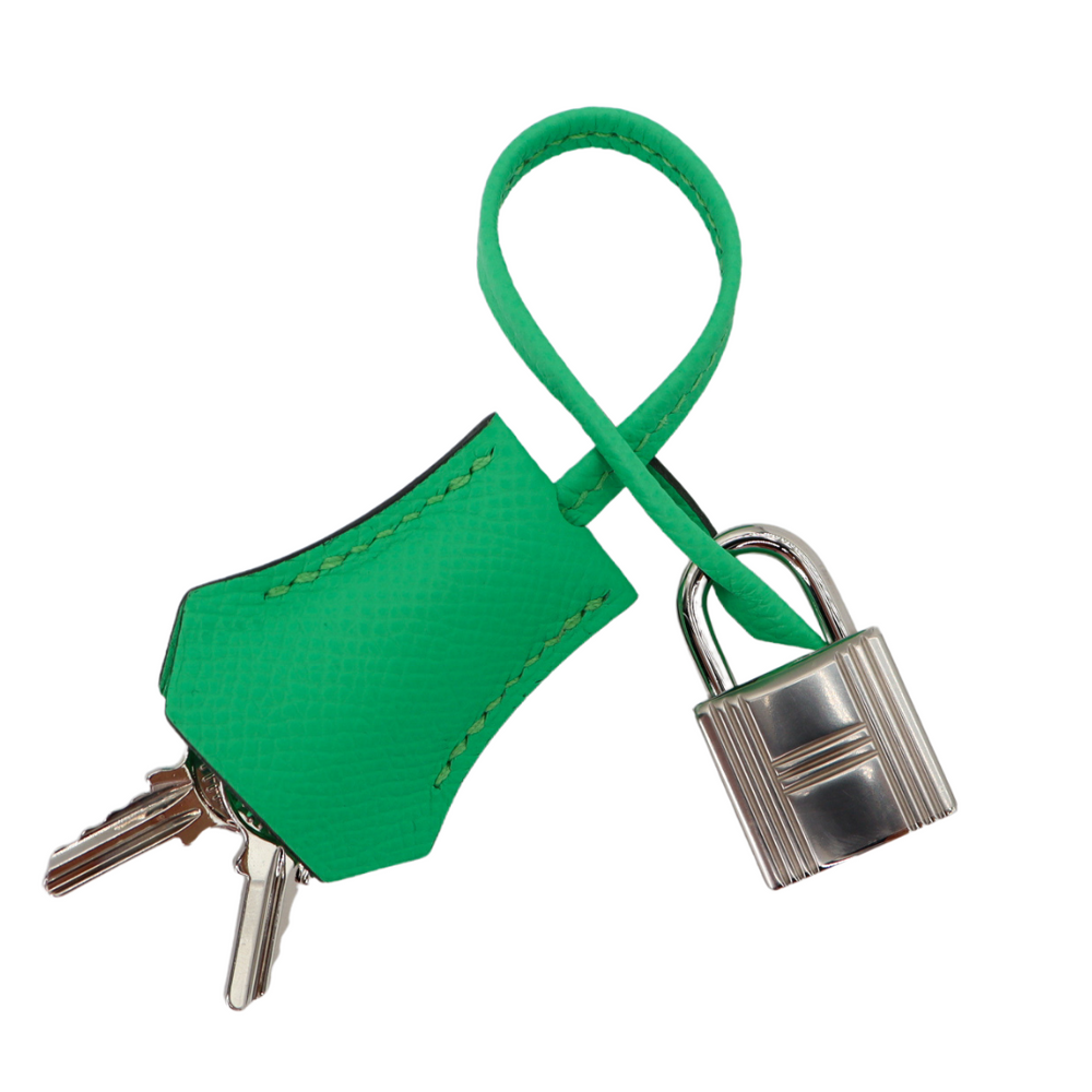Hermès 25cm Kelly Sellier Vert Comics Epsom Leather Palladium
