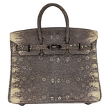 Hermès 25cm Birkin Ombre Lizard Palladium Hardware