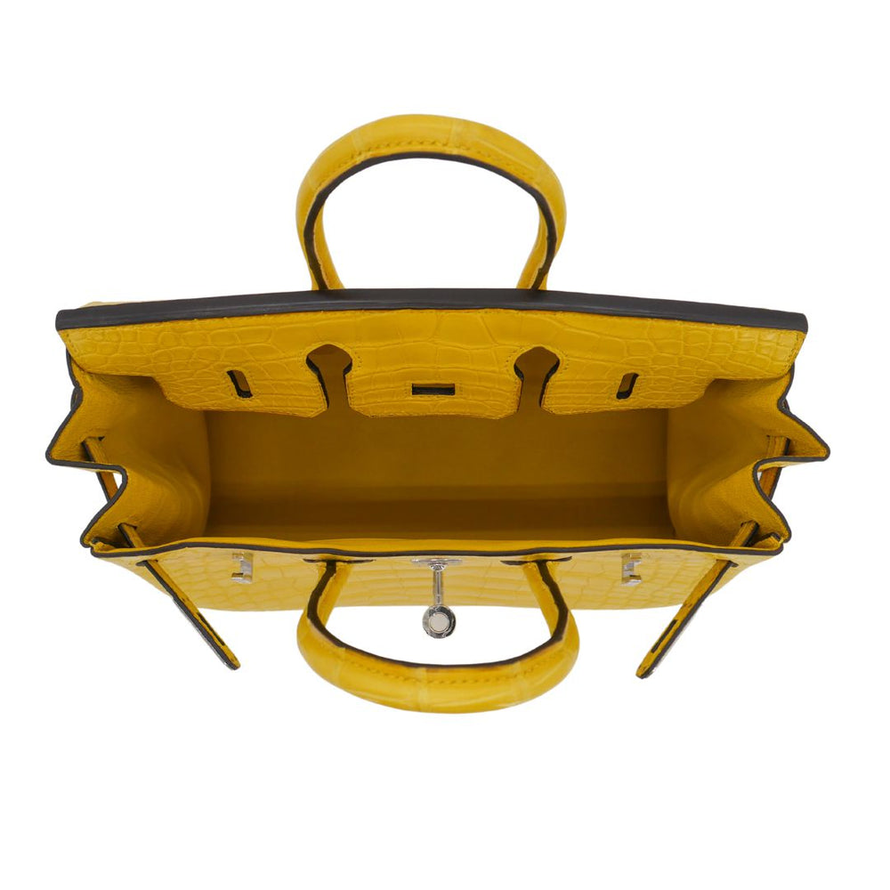 Hermès 25cm Birkin Mimosa Matte Alligator Palladium Hardware