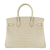 Herm�s 30cm Birkin Beton Matte Alligator Palladium Hardware